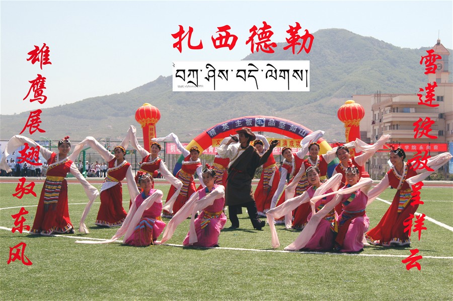 体育试玩